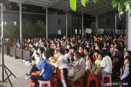 文藝惠民展新風，志愿服務暖人心——福建武平縣新時代文明實踐活動紀實